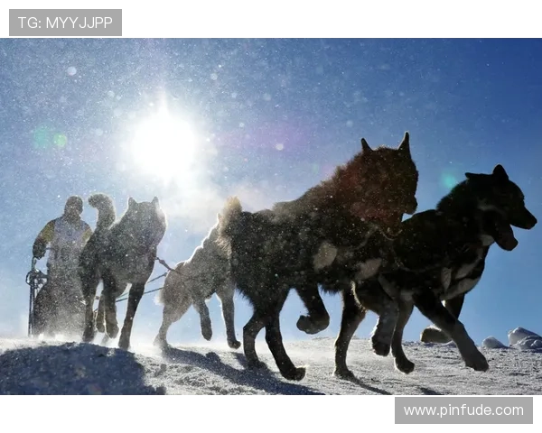 综合视角聚焦四百米赛道上障碍跑选手筋疲力尽的真实瞬间动态图画面